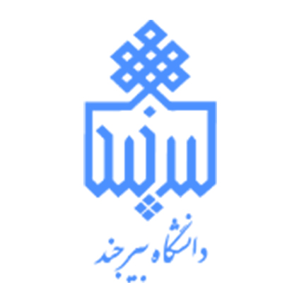 دانشگاه بیرجند